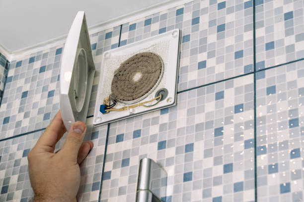 Best Air Duct Mold Removal  in Vine Hill, CA
