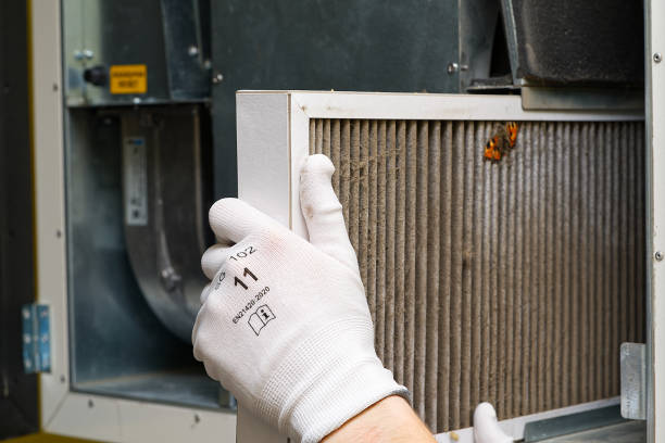 Best Affordable Duct Cleaning Services  in Vine Hill, CA