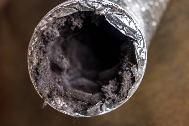 Best HVAC Air Duct Cleaning  in Vine Hill, CA